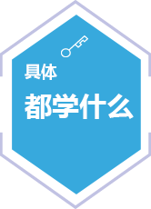 具體 都學什么