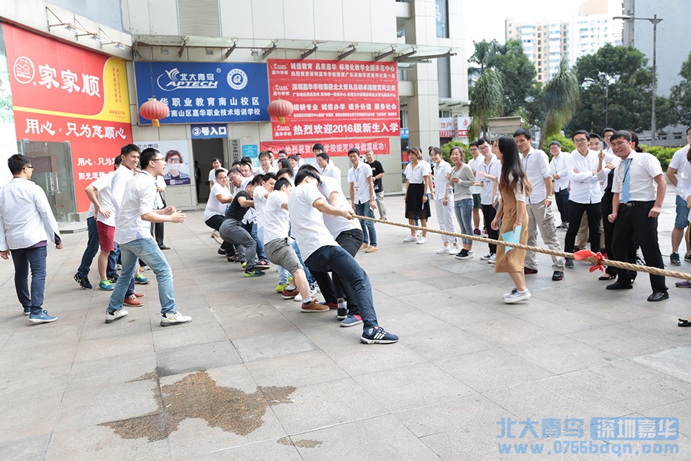 北大青鳥嘉華Java學子拔河對抗颯爽風姿1